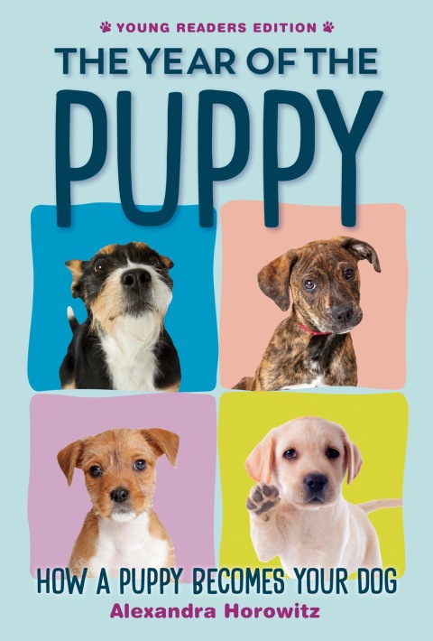 Cover image for book The Year of the Puppy
