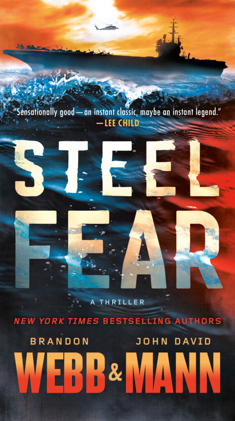 Cover image for book Steel Fear