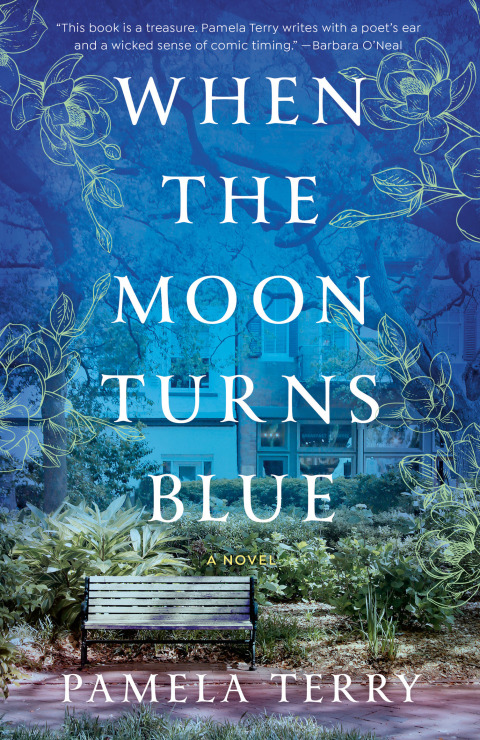 Cover image for book When the Moon Turns Blue