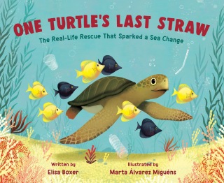 One Turtle's Last Straw