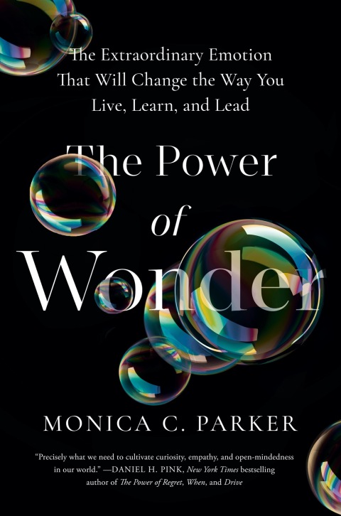 Cover image for book The Power of Wonder