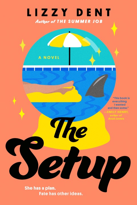 Cover image for book The Setup