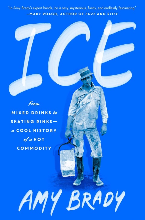 Cover image for book Ice