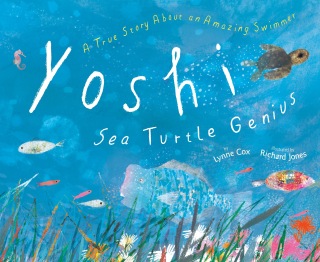Yoshi, Sea Turtle Genius