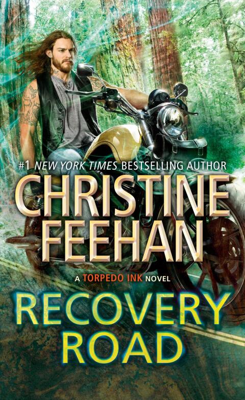 Cover image for book Recovery Road