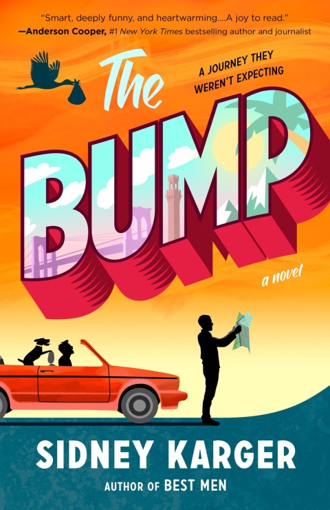 Cover image for book The Bump