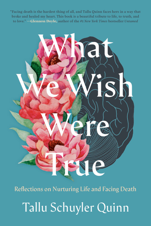 Cover image for book What We Wish Were True