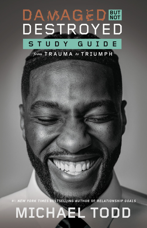 Cover image for book Damaged but Not Destroyed Study Guide