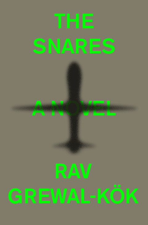 Cover image for book The Snares