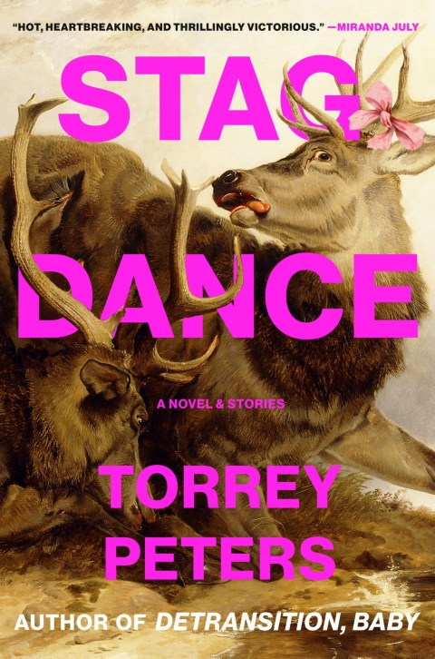 Cover image for book Stag Dance