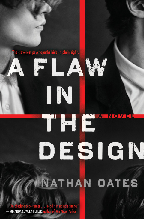 Cover image for book A Flaw in the Design