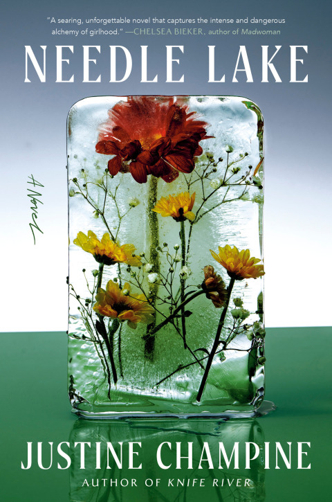Cover image for book Needle Lake