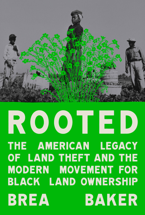 Cover image for book Rooted