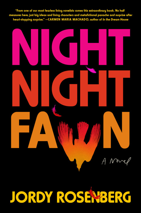Cover image for book Night Night Fawn