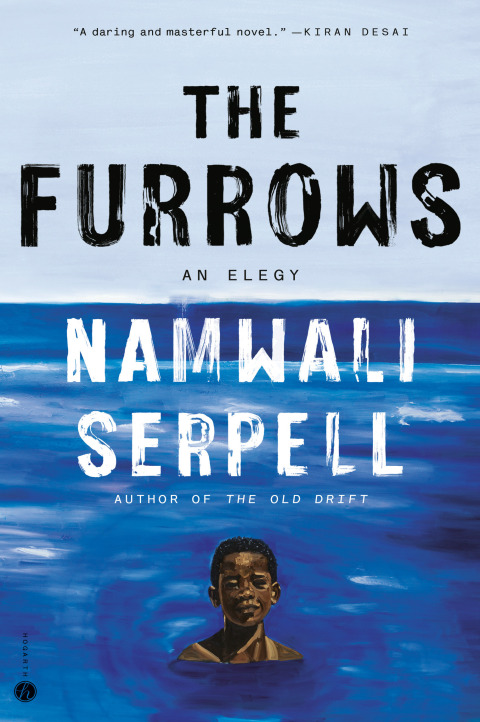 Cover image for book The Furrows