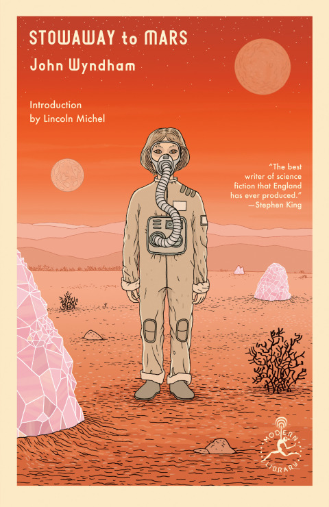 Cover image for book Stowaway to Mars