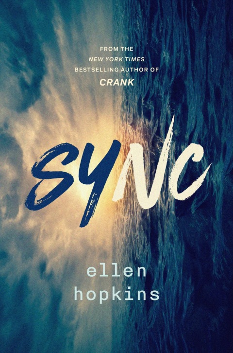 Cover image for book Sync