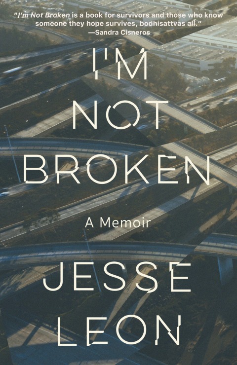 Cover image for book I'm Not Broken