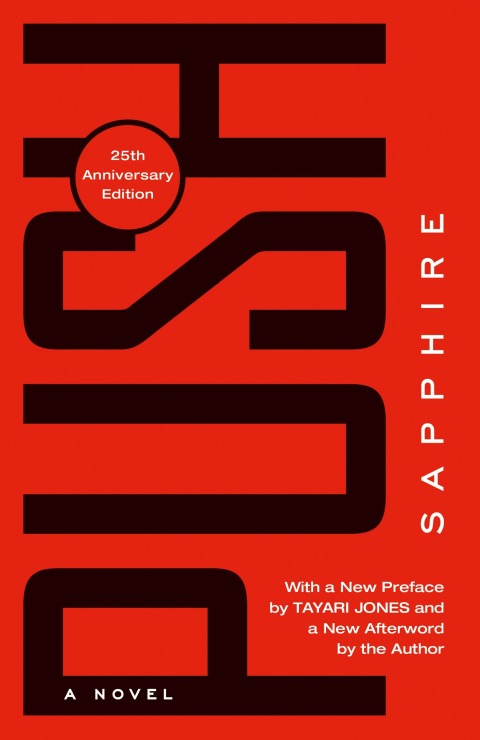 Cover image for book Push