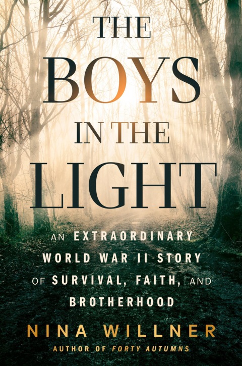 Cover image for book The Boys in the Light