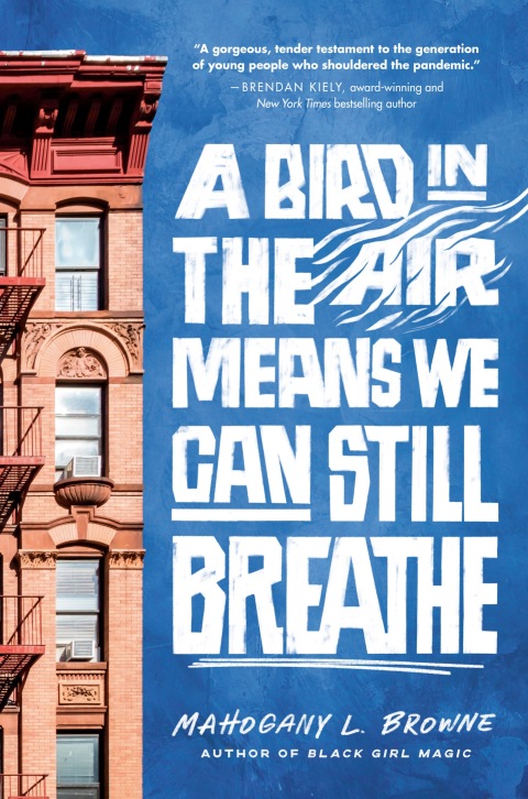 Cover image for book A Bird in the Air Means We Can Still Breathe