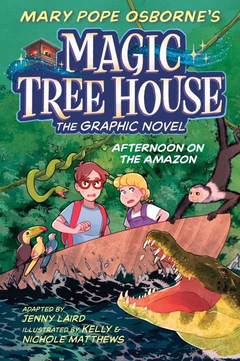 Cover image for book Afternoon on the Amazon Graphic Novel