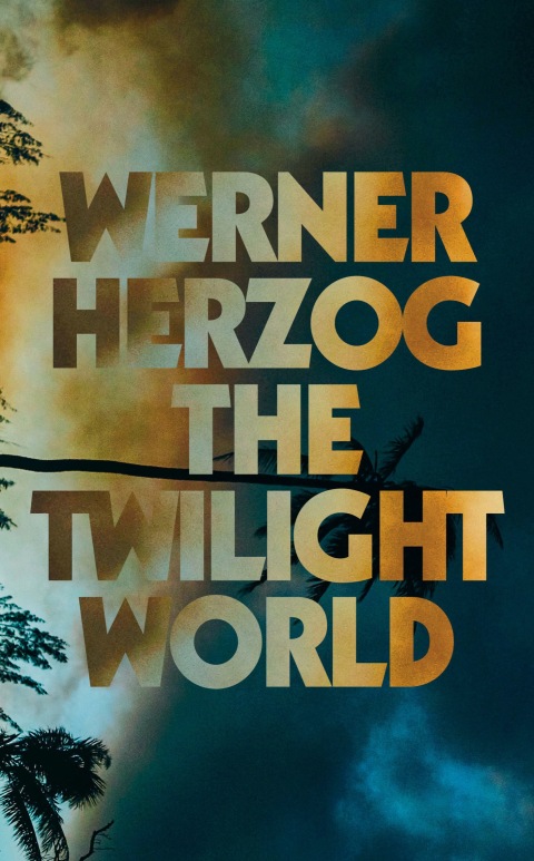 Cover image for book The Twilight World