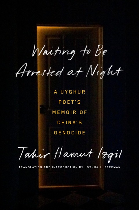 Cover image for book Waiting to Be Arrested at Night