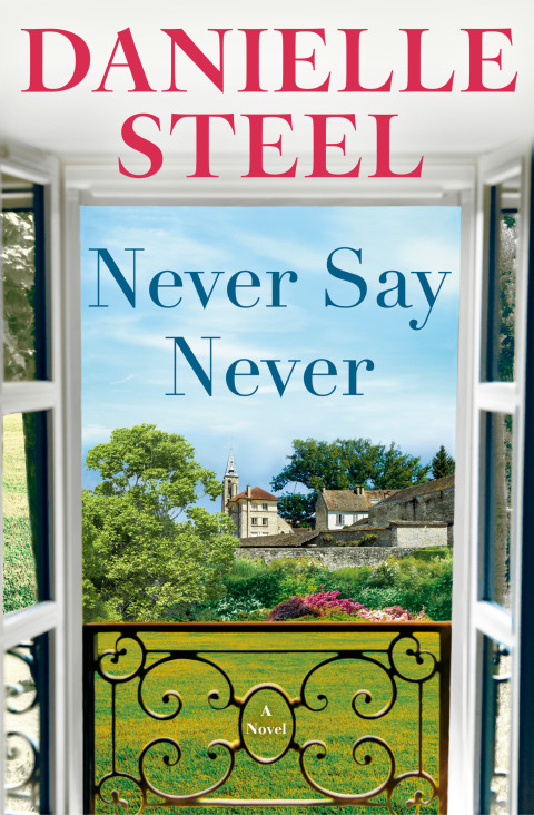 Cover image for book Never Say Never
