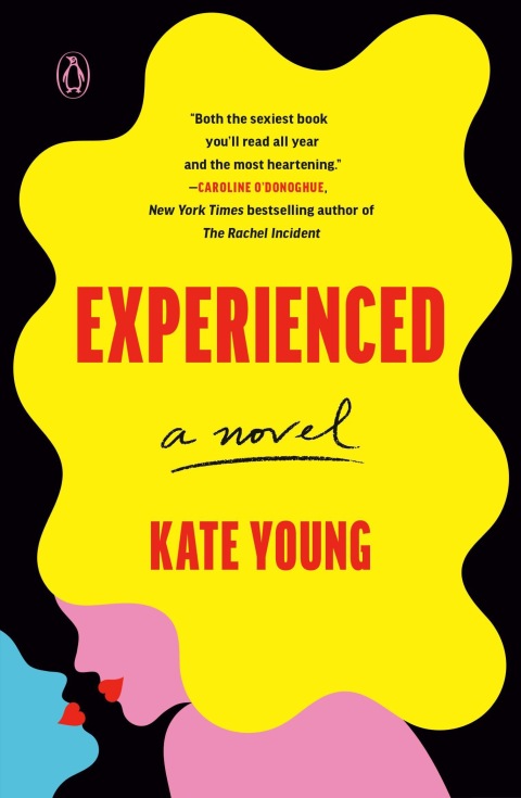 Cover image for book Experienced