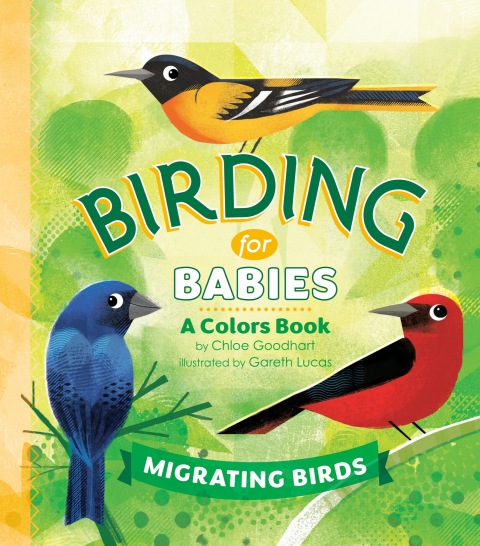 Cover image for book Birding for Babies: Migrating Birds