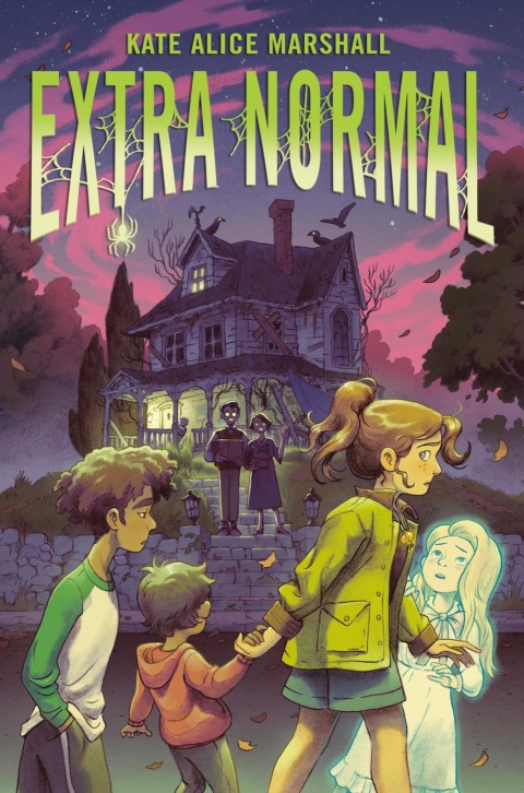 Cover image for book Extra Normal