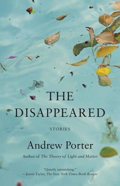 Cover image for book The Disappeared