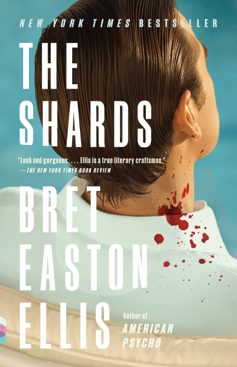 Cover image for book The Shards
