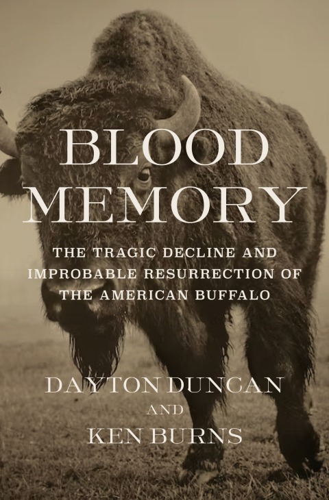 Cover image for book Blood Memory