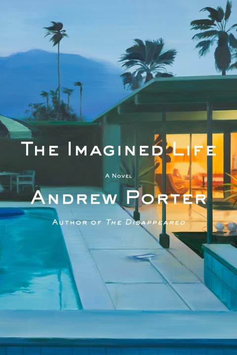 Cover image for book The Imagined Life