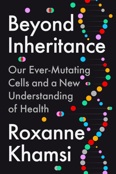 Cover image for book Beyond Inheritance