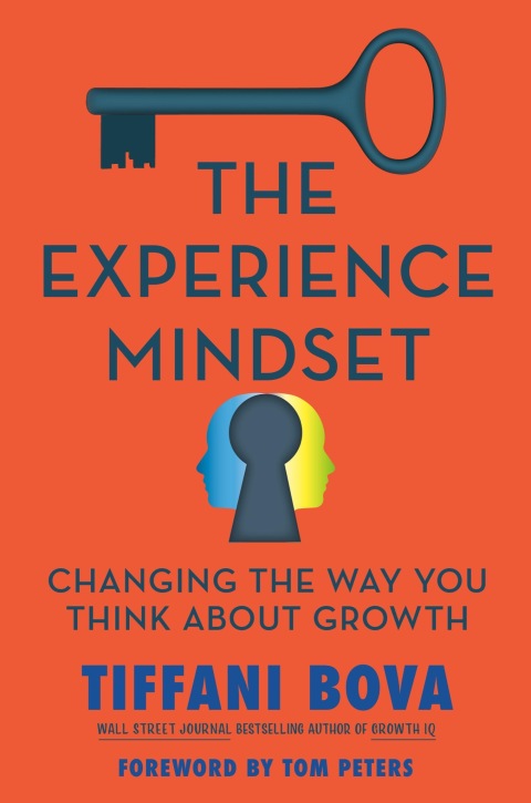 Cover image for book The Experience Mindset