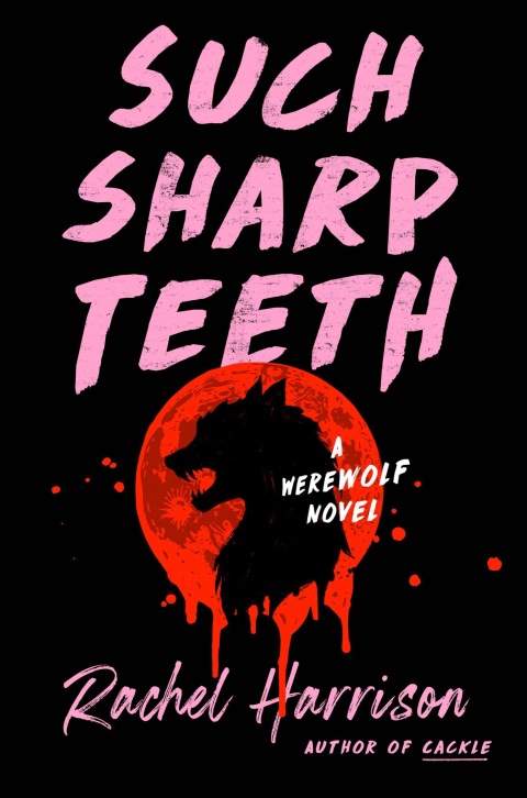 Cover image for book Such Sharp Teeth