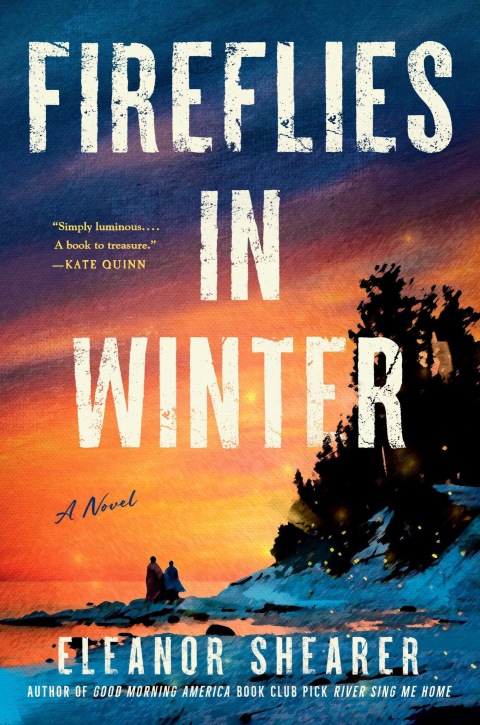 Cover image for book Fireflies in Winter