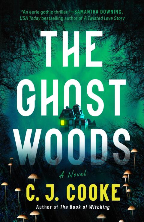 Cover image for book The Ghost Woods