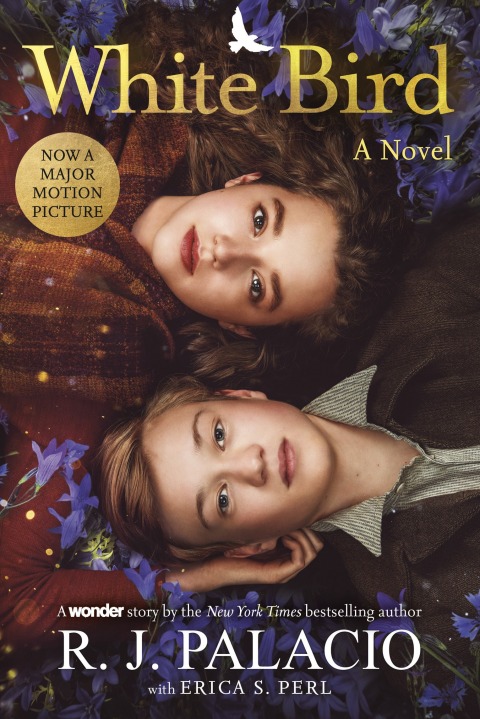 Cover image for book White Bird: A Novel