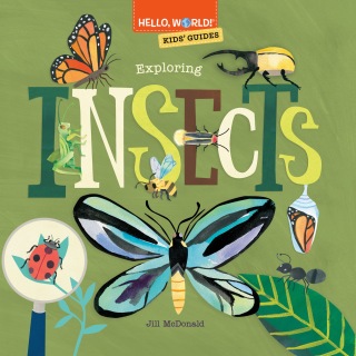 Hello, World! Kids' Guides: Exploring Insects