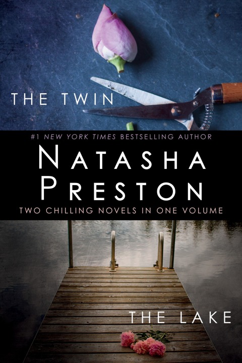 Cover image for book The Twin and The Lake