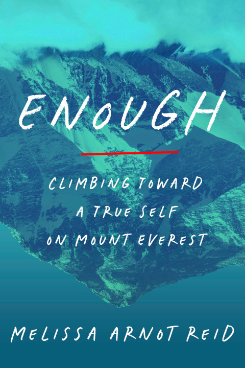 Cover image for book Enough