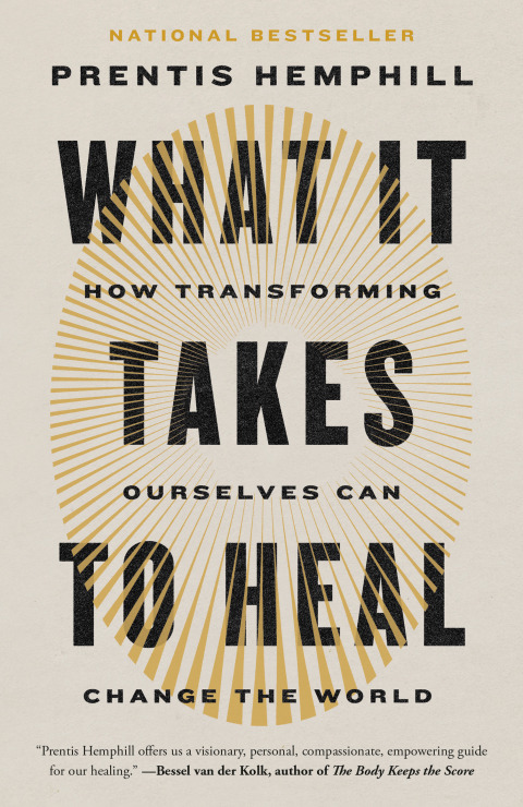 Cover image for book What It Takes to Heal