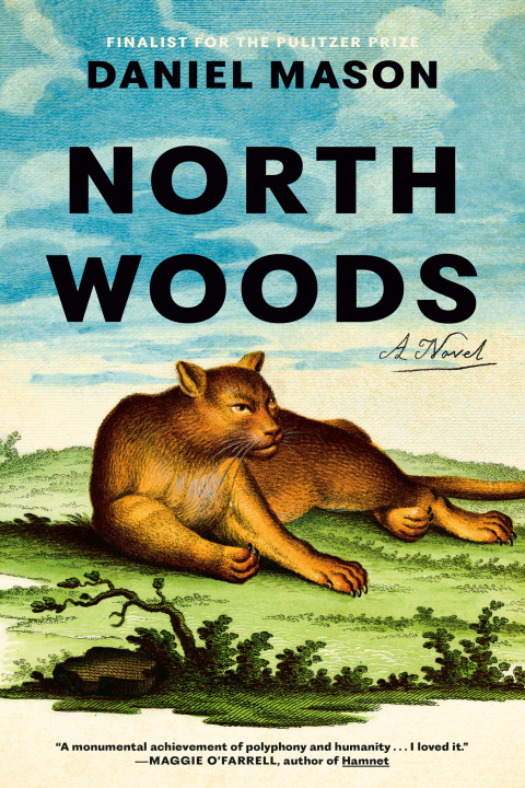 Cover image for book North Woods