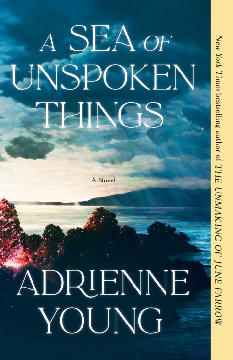 Cover image for book A Sea of Unspoken Things