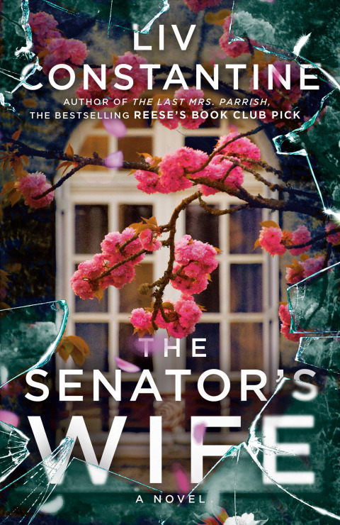 Cover image for book The Senator's Wife