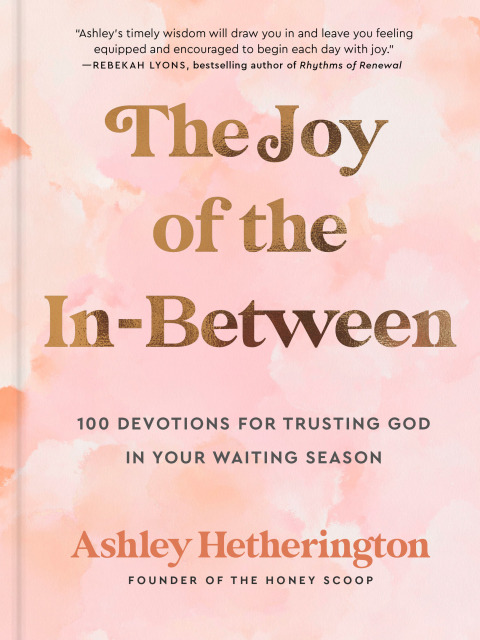Cover image for book The Joy of the In-Between
